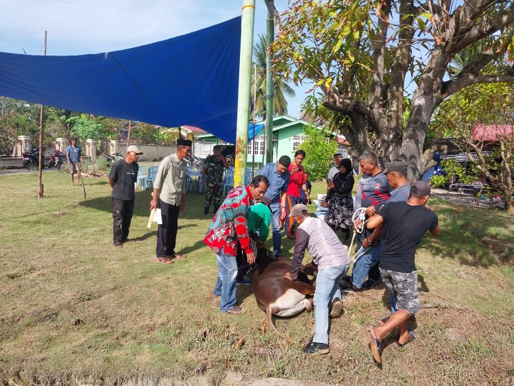 Idul Adha, Penyembelihan Sapi Qurban oleh DPC PPDI Kabupaten Bengkalis Riau